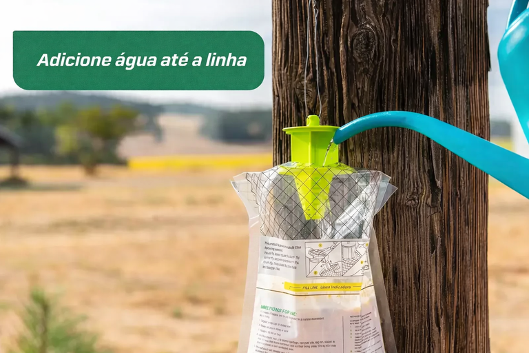Armadilha para moscas Fly Trap (A MAIS EFICAZ)